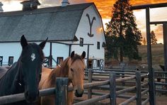 two horses standing next to each other in front of a white barn with a sunset behind them