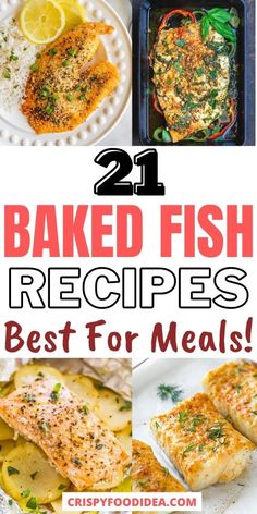 21 baked fish recipes that are best for meals