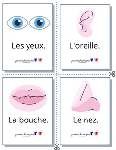 four cards with different words in french and english, each with an image of the same face