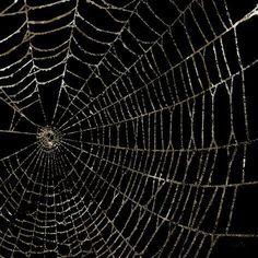 a spider web in the dark with water droplets on it's side and black background