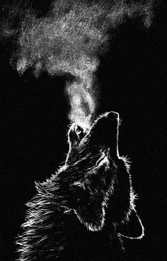 White Drawing, A Wolf, Black And White Drawing, Black Paper, White Photo, Drawing Ideas, A Black, Black And White, White