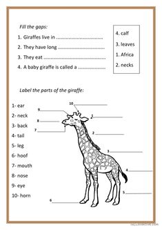 the parts of a giraffe worksheet for kids to learn how to read