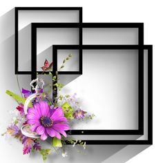 three square frames with flowers and butterflies on them