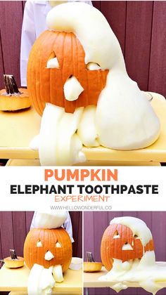 pumpkins are carved to look like they have been carved into the shape of an elephant