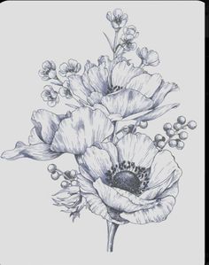 an ink drawing of some flowers on a white background