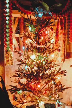 a decorated christmas tree in front of a window with lights and decorations on it's branches