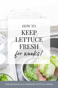 a person washing lettuce in a sink with the words how to keep lettuce fresh for weeks