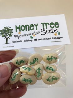 a person holding some money tree seeds in their left hand, with the label on it