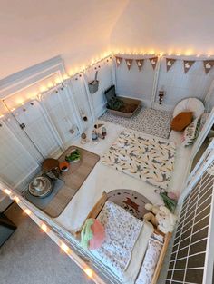 an overhead view of a dog house with lights on the ceiling and rugs in the floor