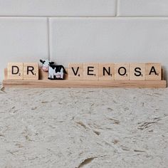 a wooden block spelling dr venosa with a cow figurine