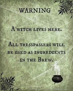 a green background with an image of a witches hat and the words warning witch lives here all trespassers will be used as ingredients in the brew