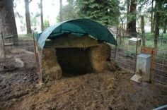 a dog house made out of hay in the woods