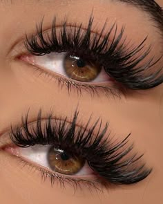 L Lashes Eyelash Extensions, Wispy Volume Lash Extensions Doll Eye, Wet Wispy Lashes, Full Wispy Eyelash Extensions, Long Wispy Eyelash Extensions, Wet Wispy Lash Extensions, Wispy Extensions, Wet Lashes Look Extensions