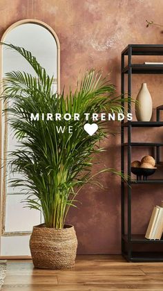 a potted plant sitting on top of a wooden floor next to a book shelf