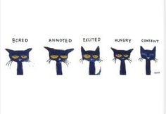 an image of cats with different expressions on their faces