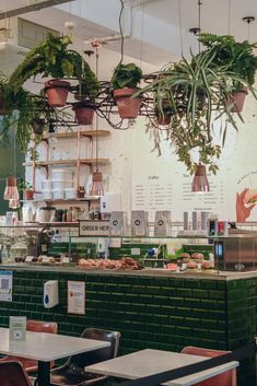 the interior of a restaurant with plants hanging from the ceiling