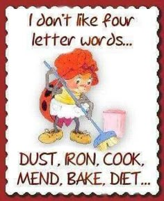 a sign that says, i don't like four letter words dust, iron, cook, and bake diet