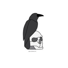 a black bird sitting on top of a human skull