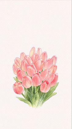 a watercolor painting of pink tulips on a white background