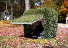 a man sitting in a chair made out of a box surrounded by leaves and flowers