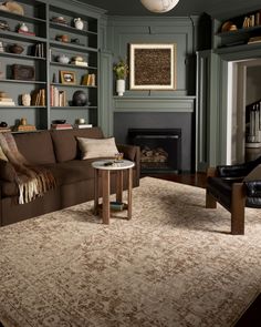 a living room filled with furniture and bookshelves next to a fire place in a fireplace