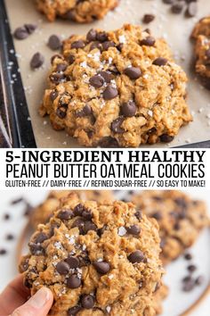 healthy peanut butter oatmeal cookies Healthy Peanut Butter Oatmeal Cookies, Peanut Butter Oatmeal Chocolate Chip, Peanut Butter Oatmeal Chocolate Chip Cookies, Fruit Appetizers, Oatmeal Chocolate Chip, Peanut Butter Oatmeal, Oatmeal Chocolate, Healthy Peanut Butter