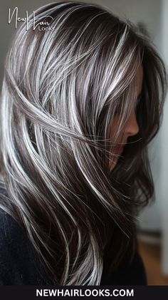 15+ Silver Hair Highlight Ideas You'll Love Silver Babylights On Dark Hair, Silver Streak In Dark Hair, Silver Streaks In Dark Hair, Medium Brown Hair With Silver Highlights, White Highlights Hair, Brown Hair Silver Highlights, Dark Hair With Silver Highlights, Silver Hair With Lowlights, Silver Blonde Highlights