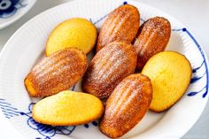 powdered sugar coated donuts on a blue and white plate