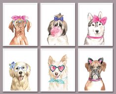 four pictures of dogs with heart shaped glasses and bows on their heads, one has a pink bow