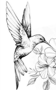 a drawing of a hummingbird flying over flowers