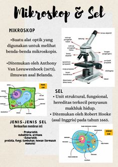 an info sheet describing the different parts of a microscope