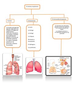 the diagram shows how to use an appliance for breathing and other medical devices