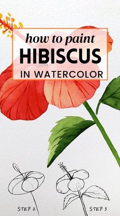 how to paint hibiscus in watercolor