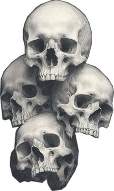 three human skulls stacked on top of each other with their heads turned to the side