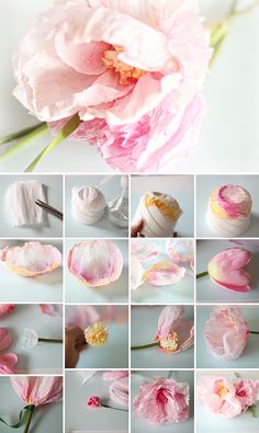 many different pictures of pink flowers and yarn