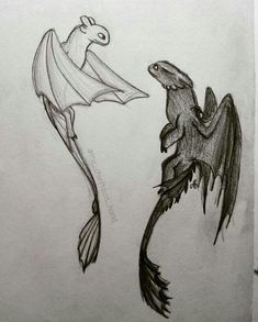 a drawing of two different types of fish and a bird with wings on their backs