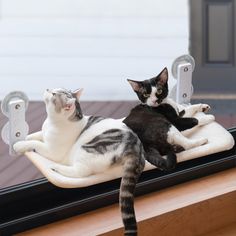 two cats laying on top of a window sill