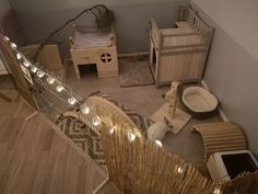 a cat is sitting on the floor in a room with wooden furniture and string lights