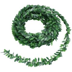 a green leafy garland is shown on a white background