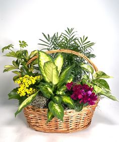 a wicker basket filled with lots of different types of flowers and plants in it