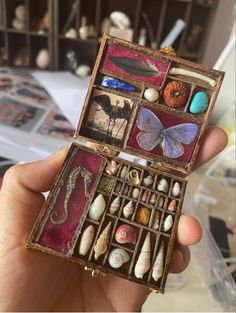 a person holding an open box with seashells and other items in it on a table