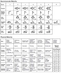 the symbols for different types of electrical devices and their functions are shown in this diagram