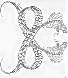 a drawing of an abstract design with lines and curves in the form of a snake's tail