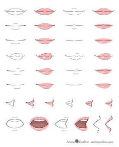 an image of different types of lips