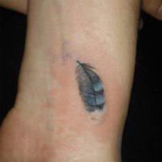 a small blue feather tattoo on the ankle