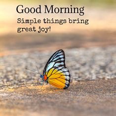 a yellow and black butterfly sitting on top of a gravel road with the words good morning simple things bring great joy