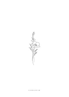 a line drawing of a flower on a white background