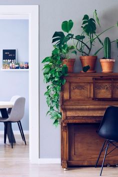 a living room filled with furniture and potted plants on top of a wooden table