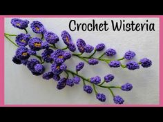 crochet wisteria flowers are displayed on a pink and white background with the words