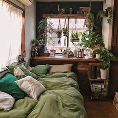 an unmade bed with green sheets and pillows in front of a window filled with potted plants